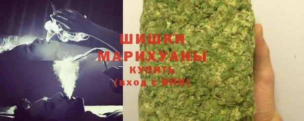 дмт Бородино