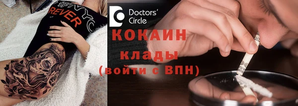 дмт Бородино