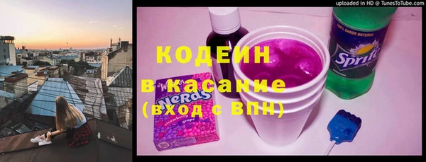 дмт Бородино
