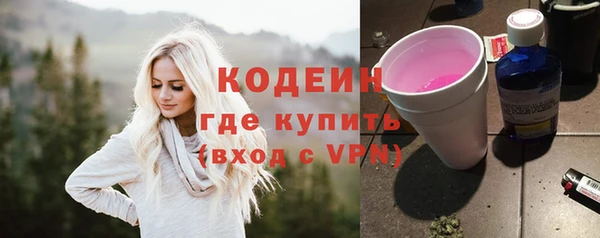 индика Верея