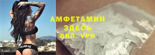 дмт Бородино